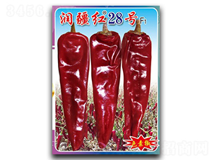 �����t28̖-�����N��-�(zh��n)�зN�I(y��)