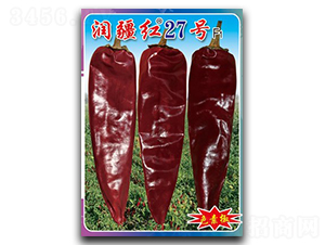 �����t27̖-�����N��-�(zh��n)�зN�I(y��)