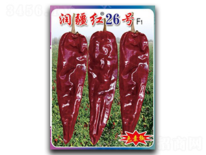 �����t26̖-�����N��-�(zh��n)�зN�I(y��)