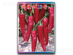 �����t13̖-�����N��-�(zh��n)�зN�I(y��)