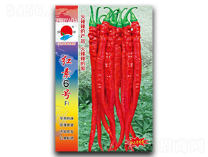 �t��6̖-�����N��-�(zh��n)�зN�I(y��)