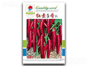 �t��5̖-�����N��-�(zh��n)�зN�I(y��)