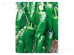 �(zh��n)����̖-�ݽ��N��-�(zh��n)�зN�I(y��)