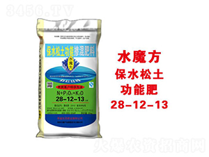 ��ˮ�������ܷ�28-12-13-ˮħ��-�����