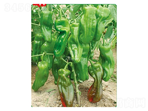 �K�����-�ݽ��N��-�(zh��n)�зN�I(y��)