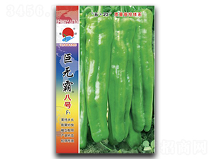 �ޟo�԰�̖-�ݽ��N��-�(zh��n)�зN�I(y��)