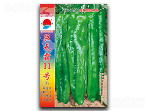 �ޟo��11̖-�ݽ��N��-�(zh��n)�зN�I(y��)