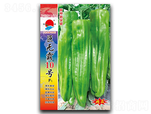 �ޟo��10̖-�ݽ��N��-�(zh��n)�зN�I(y��)