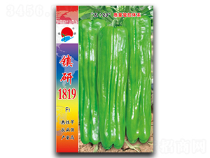 �(zh��n)��1819-�ݽ��N��-�(zh��n)�зN�I(y��)