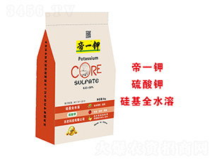 �����-��һ�-�����