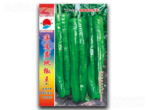 ��Ƥ¶�ؽ���-�ݽ��N��-�(zh��n)�зN�I(y��)