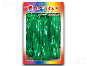 �(zh��n)��1816-�ݽ��N��-�(zh��n)�зN�I(y��)