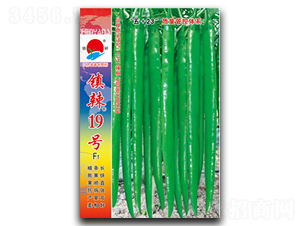 �(zh��n)��19̖-�����N��-�(zh��n)�зN�I(y��)