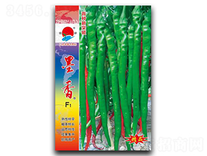 ī��-�����N��-�(zh��n)�зN�I(y��)