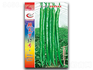 ������57̖-�����N��-�(zh��n)�зN�I(y��)