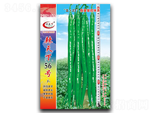 ������56̖-�����N��-�(zh��n)�зN�I(y��)