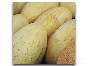 ��ϷN��-�ȃ�(y��u)�_