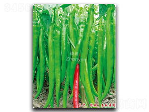 ������8̖-�����N��-�(zh��n)�зN�I(y��)