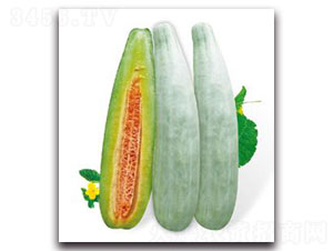 �ؼ���Ǵ�-��ϷN��-�ȃ�(y��u)�_