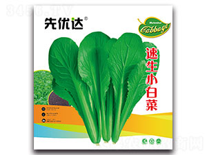 ����С�ײ�-�ײ˷N��-�ȃ�(y��u)�_(d��)