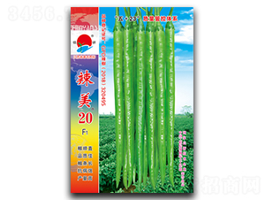 ����20-�����N��-�(zh��n)�зN�I(y��)