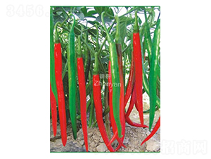 ������-�����N��-�(zh��n)�зN�I(y��)