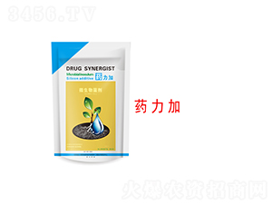 ΢�������-ˎ����-�����