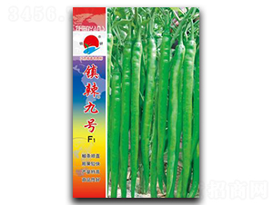 �(zh��n)����̖(h��o)-�����N��-�(zh��n)�зN�I(y��)