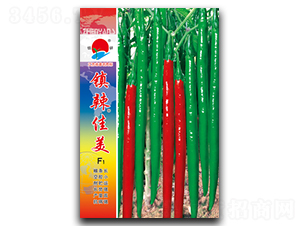 �(zh��n)������-�����N��-�(zh��n)�зN�I(y��)