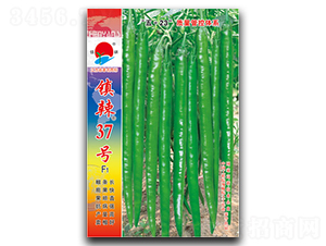 �(zh��n)��37̖(h��o)-�����N��-�(zh��n)�зN�I(y��)