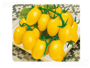 ��ɯ-���ѷN��-�ȃ�(y��u)�_