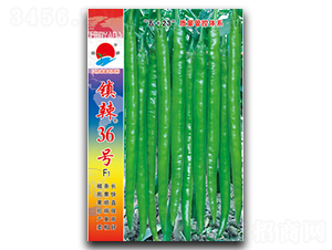 �(zh��n)��36̖(h��o)-�����N��-�(zh��n)�зN�I(y��)