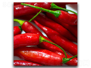 �����N��-�ȃ�(y��u)�_(d��)