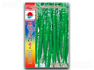 ������21̖-�����N��-�(zh��n)�зN�I(y��)