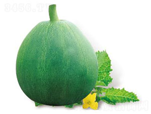 ��(y��u)�G��-��ϷN��-�ȃ�(y��u)�_