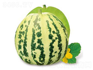 ��(y��u)����-��ϷN��-�ȃ�(y��u)�_