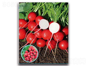 ���-�}���N��-�ȃ�(y��u)�_(d��)