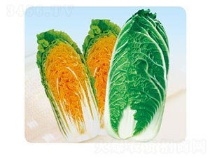 ���ٶ�̖(h��o)-�ײ˷N��-�ȃ�(y��u)�_(d��)