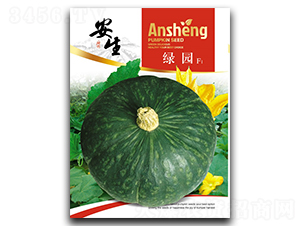 �G�@-�ϹϷN��-����