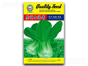 ԭ�N�Ϻ���-�๣�˷N��-����