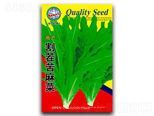 ������˲�-�����˷N��-����