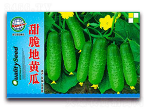 �����S��-�S�ϷN��-����