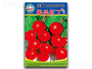 ��ζ�OƷ�t��-�}���N��-����