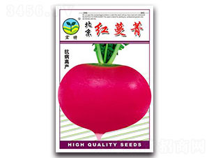 �t��ݼ-�}���N��-����