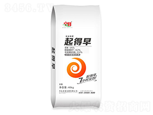 40kg���ĵ���-�����-׿��