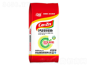 �}�\ͬ�a(b��)24-8-8-׿��