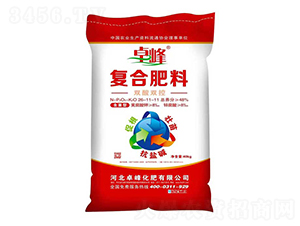 �p���p�؏�(f��)�Ϸ���26-11-11-׿��