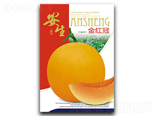 ��t��-��ϷN��-����