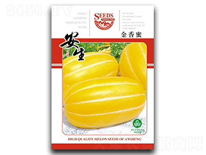 ������-��ϷN��-����