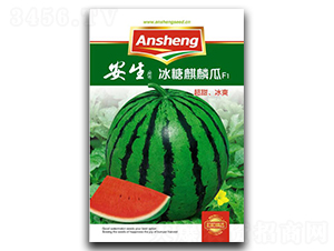 ���������-���ϷN��-����